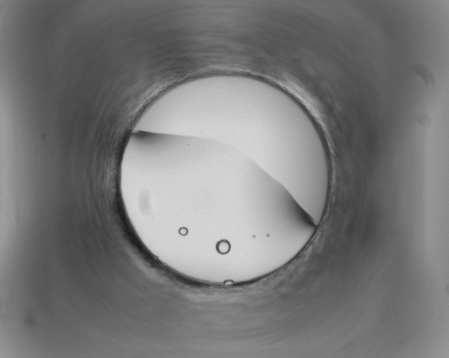 X0000113870009200910221344