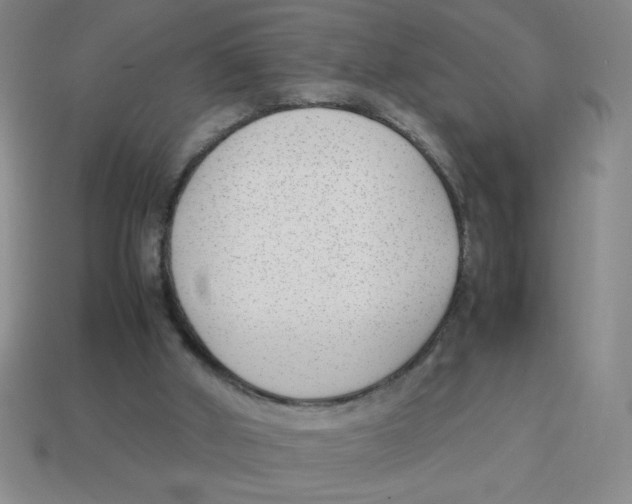 X0000113870010200910221344
