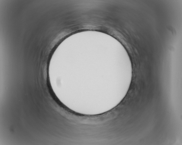 X0000113870011200910221344