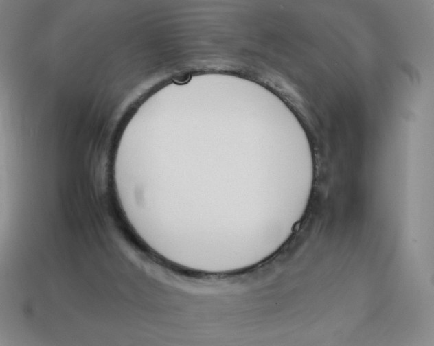 X0000113870012200910221344
