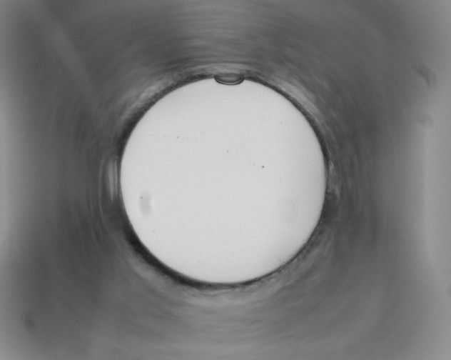 X0000113870013200910221344