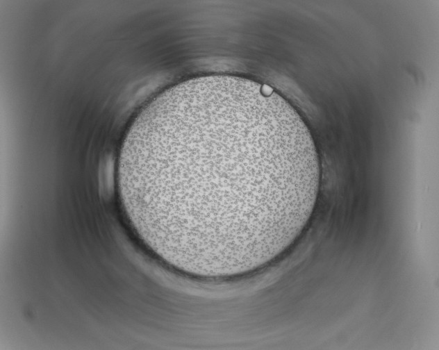 X0000113870014200910221344