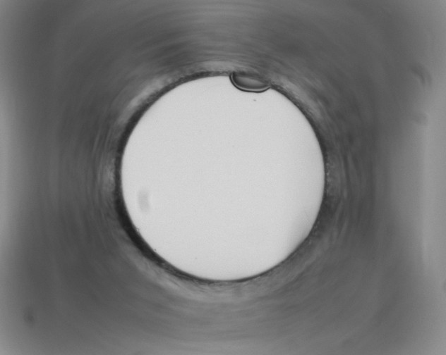 X0000113870015200910221344