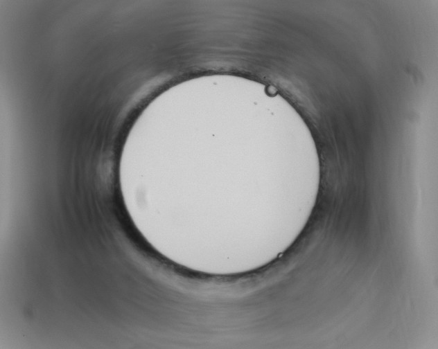 X0000113870016200910221344