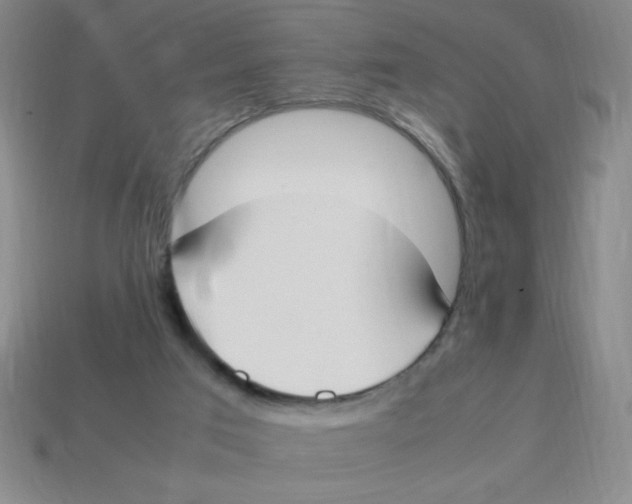 X0000113870017200910221344