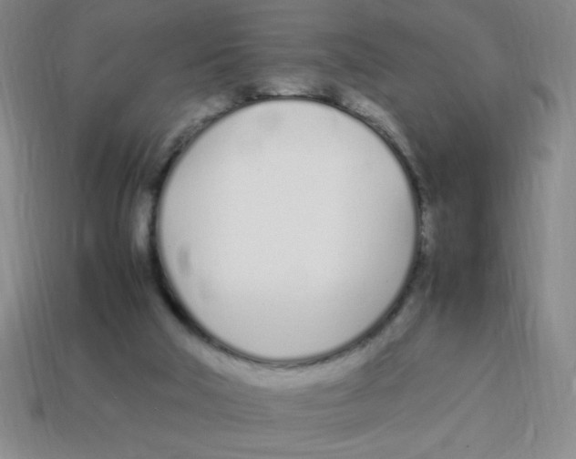 X0000113870018200910221344