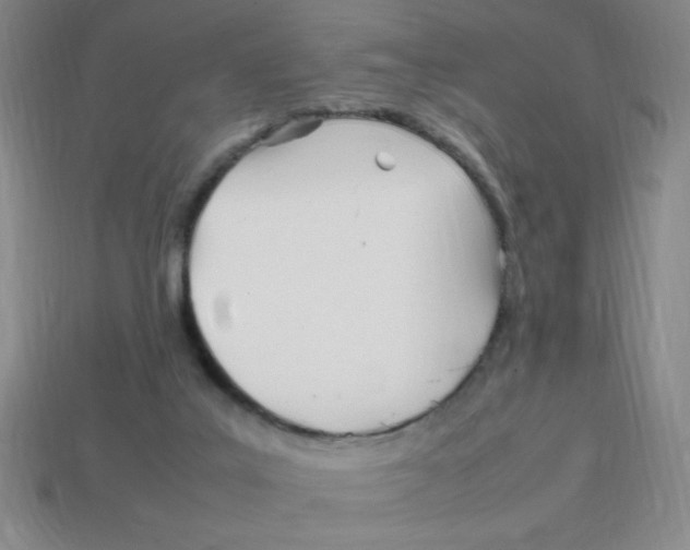 X0000113870019200910221344