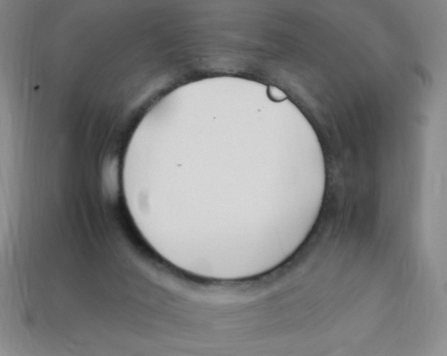 X0000113870020200910221344