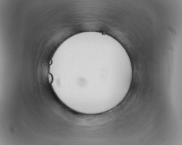 X0000113870021200910221344