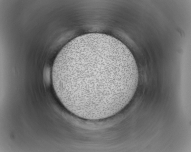 X0000113870022200910221344