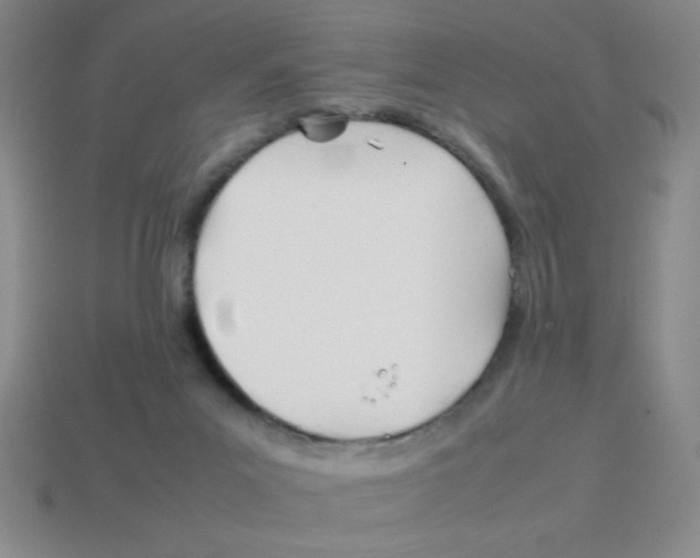 X0000113870023200910221344
