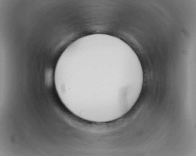 X0000113870024200910221344