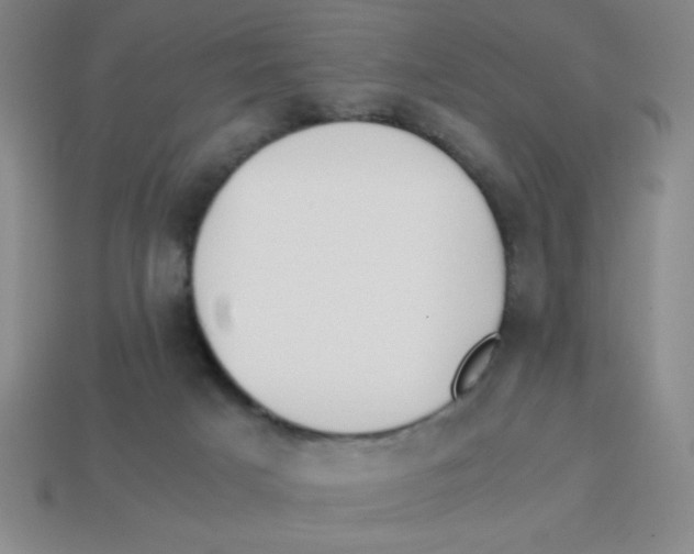X0000113870025200910221344