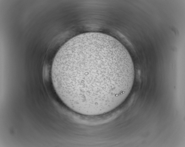 X0000113870026200910221344