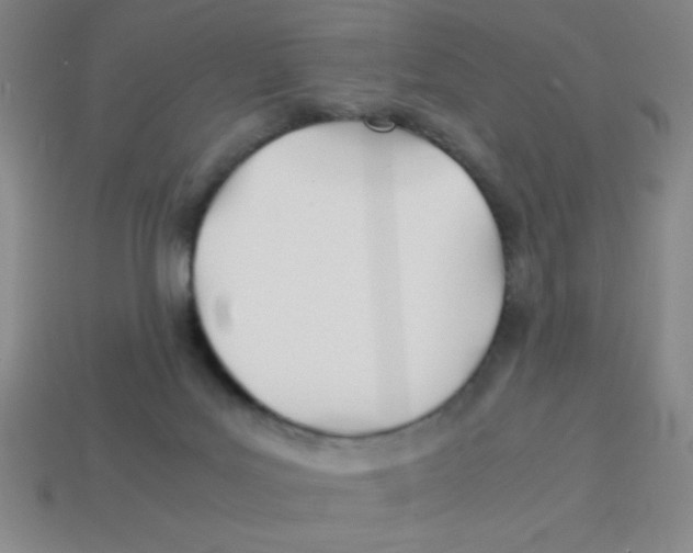 X0000113870027200910221344
