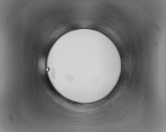 X0000113870028200910221344