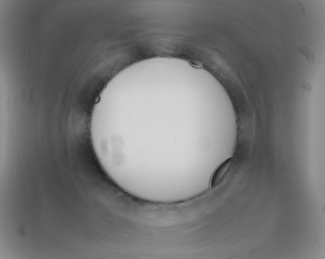 X0000113870029200910221344