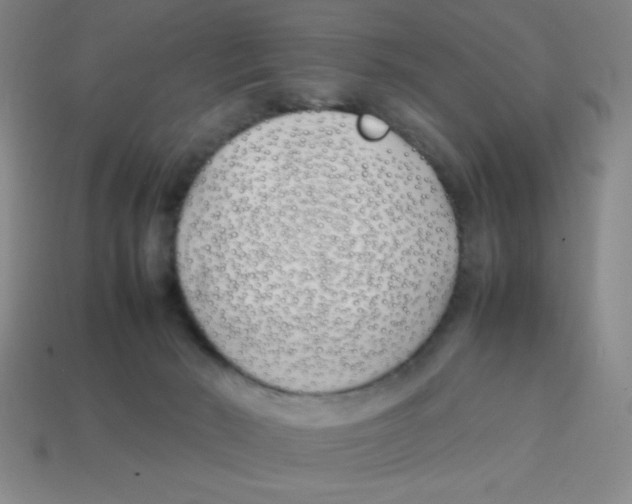 X0000113870030200910221344