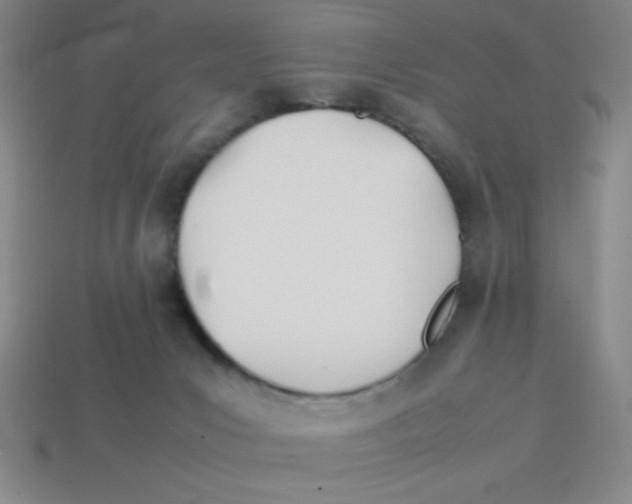 X0000113870031200910221344