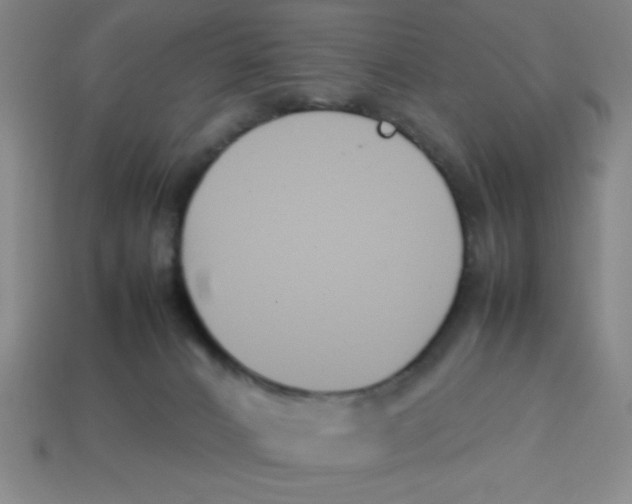 X0000113870032200910221344