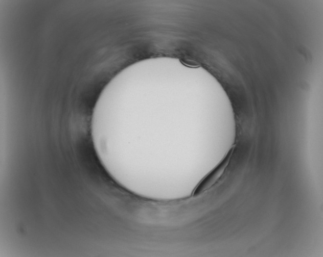 X0000113870033200910221344