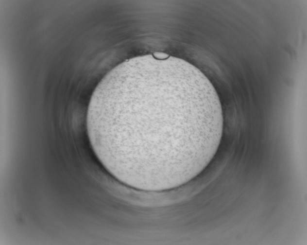 X0000113870034200910221344