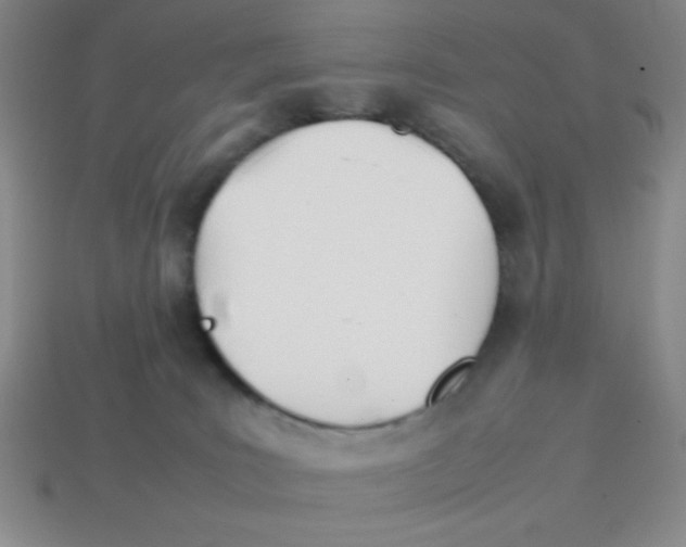 X0000113870035200910221344