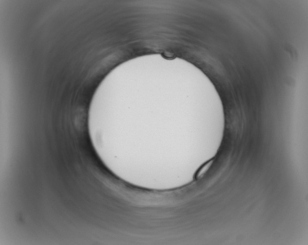 X0000113870036200910221344