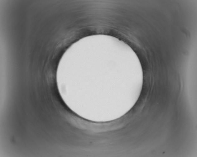 X0000113870039200910221344