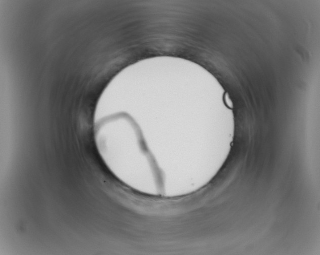 X0000113870040200910221344