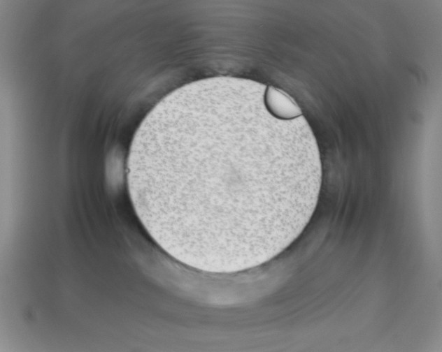 X0000113870042200910221344