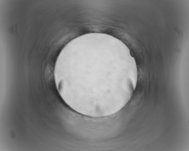 X0000113870043200910221344