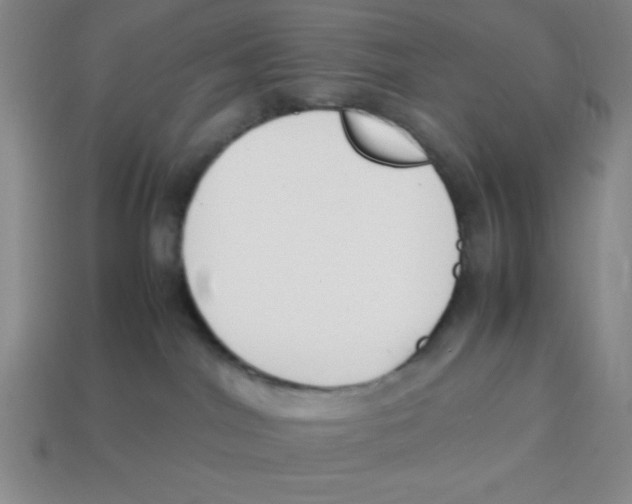 X0000113870044200910221344