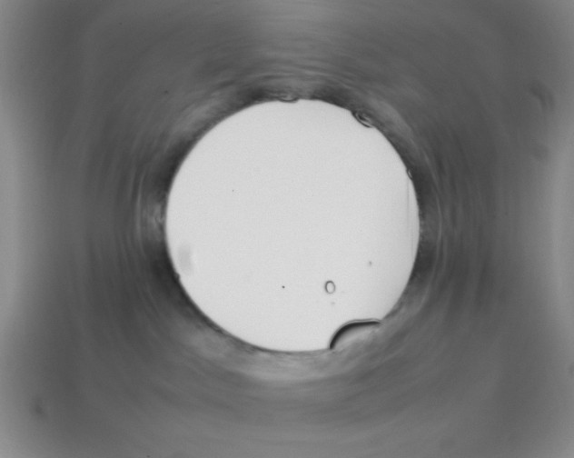 X0000113870045200910221344