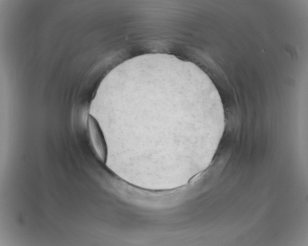 X0000113870047200910221344