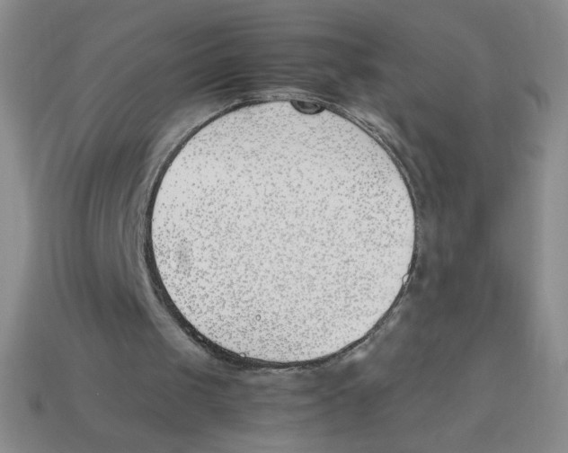 X0000113870049200910221343
