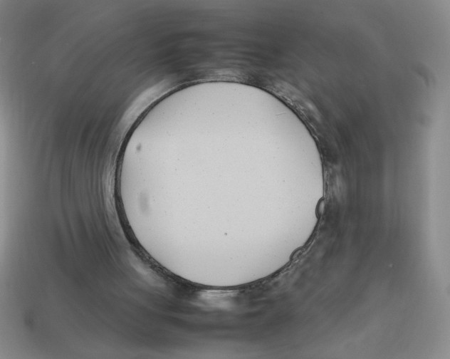 X0000113870051200910221343