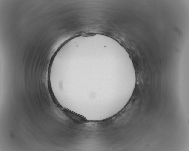 X0000113870052200910221343