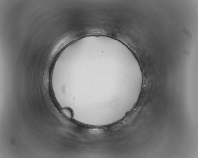 X0000113870053200910221343