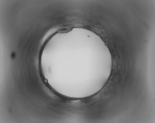 X0000113870054200910221343