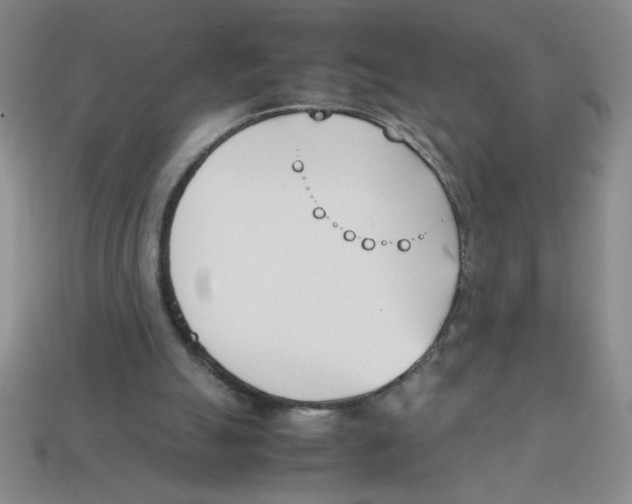 X0000113870055200910221343