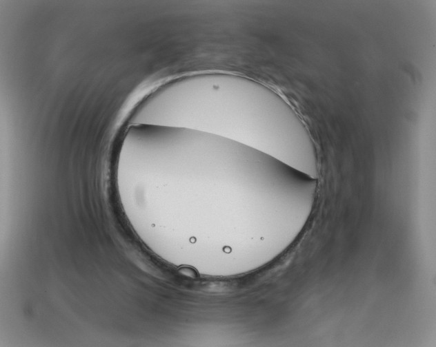 X0000113870056200910221343