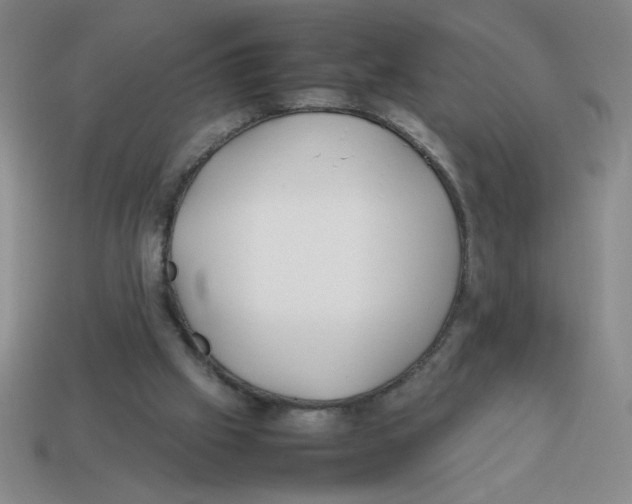 X0000113870057200910221343