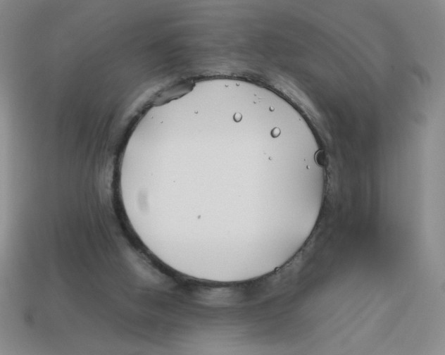 X0000113870058200910221343