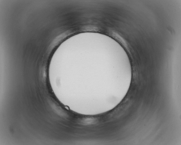 X0000113870059200910221343