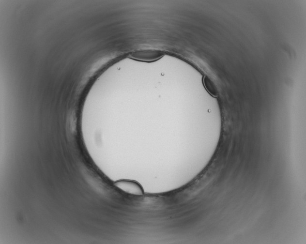 X0000113870060200910221343