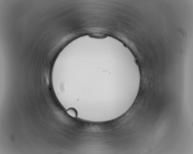 X0000113870062200910221343