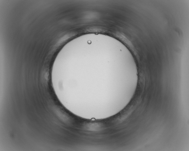 X0000113870063200910221343