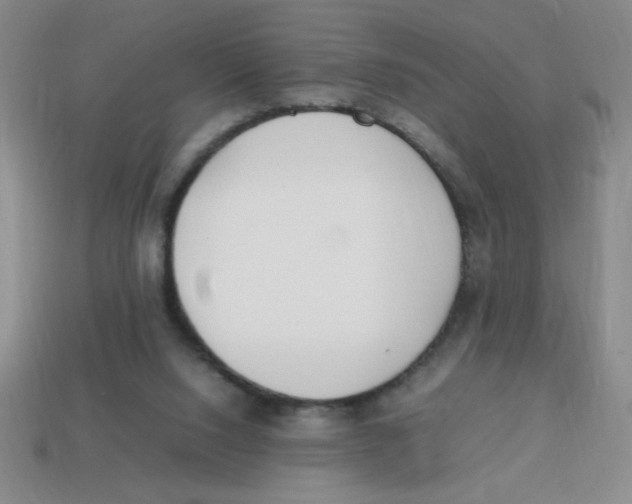 X0000113870064200910221343