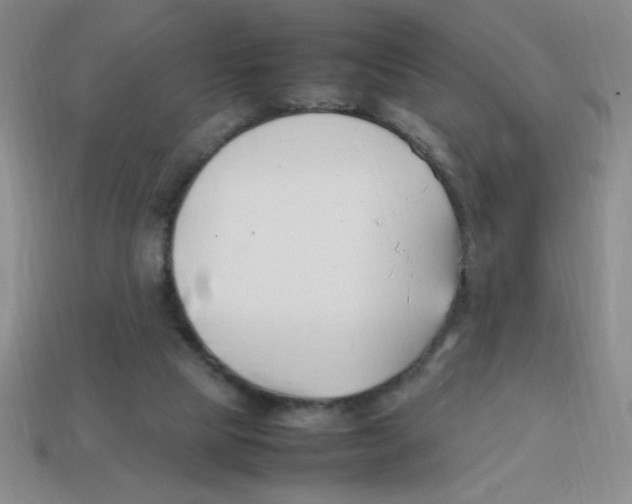 X0000113870065200910221343